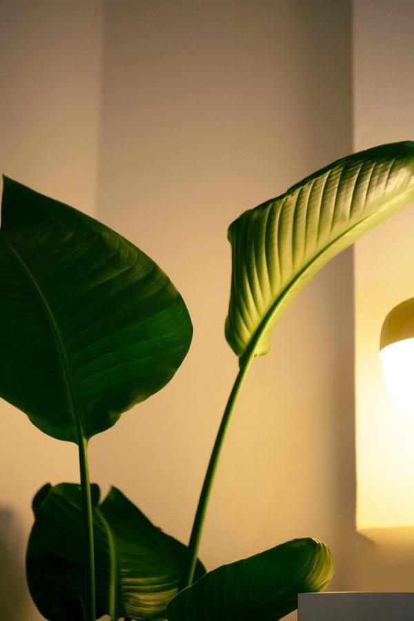 #9 3Mins To Station 1Stop To Shinjuku Stylish Apartment With Plenty Of Sunlight Токио Экстерьер фото